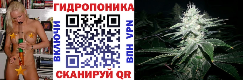 где продают наркотики  Полярные Зори  МАРИХУАНА Ganja 